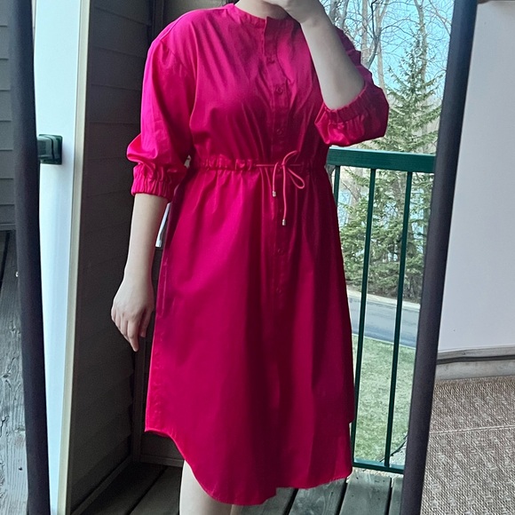 🆕 Max Mara Leisure Antique ROSE Leisure Sheree Drawstring Midi-Dress Cotton 8 - Picture 5 of 15